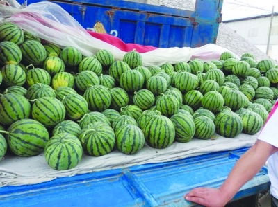 消暑降溫，永大機(jī)械購(gòu)買解暑西瓜